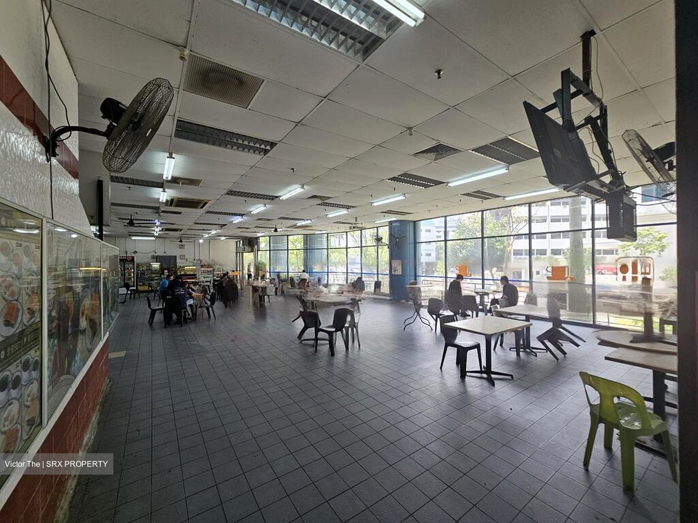 Oasis Garden (D19), Factory #453135421